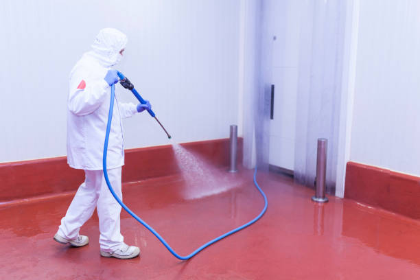 Best Roof Washing  in Faribault, MN